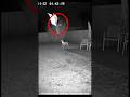 kutta Apne Ghar Ki rakhvali kar ra tha😱 #shorts #viral#trending #viralvideos #education #shortvideos