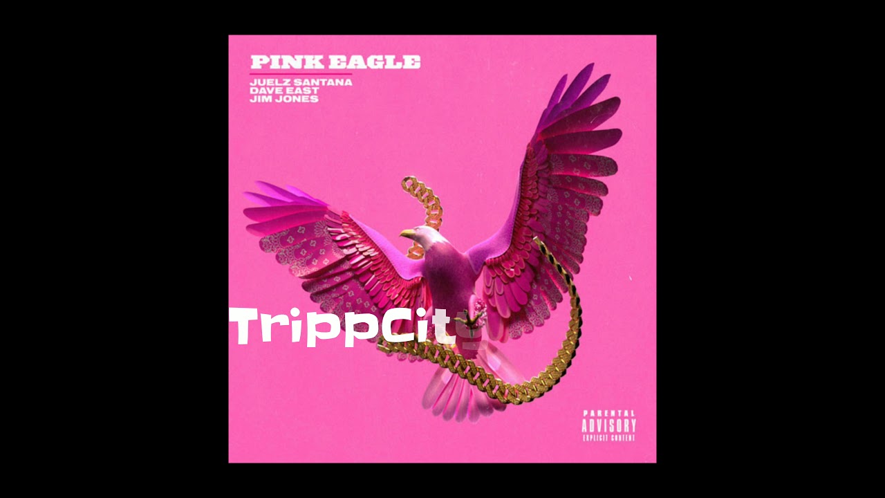 Sleduj Pink Eagle TrippCityRoyal na YouTube Sleduj Pink Eagle TrippCityRoyal na YouTube