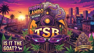 ThcaSmallBuds "Purple Lambo" LightAssist Smalls Review 