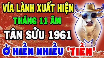 Vía LÀNH Trở Lại: Tân Sửu 1961 Ăn LỘC Độc Đắc, Bội Thu Tiền Của Tháng 11 Âm Giàu Bất Thình Lình