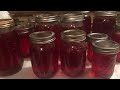 HOW TO MAKE PLUM JELLY STEP BY STEP