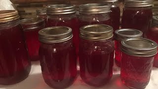 HOW TO MAKE PLUM JELLY STEP BY STEP