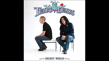 TEARS FOR FEARS - Secret World (2LP) [2005]