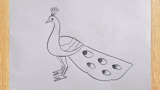 how to draw peacock drawing easy step by step@DrawingTalent