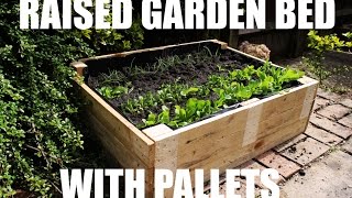 This is how I made a raised garden bed for free using pallets. JuiceSoup.com @JuiceSoupSpill.