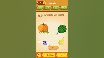 Super Brain Level  26