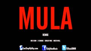 Big Sean - Mula (Remix) (Feat. 2 Chainz, Earlly Mac &amp; Meek Mill)