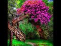 Stable Diffusion 3D Animation of Staircase to a Treehouse with Flowers