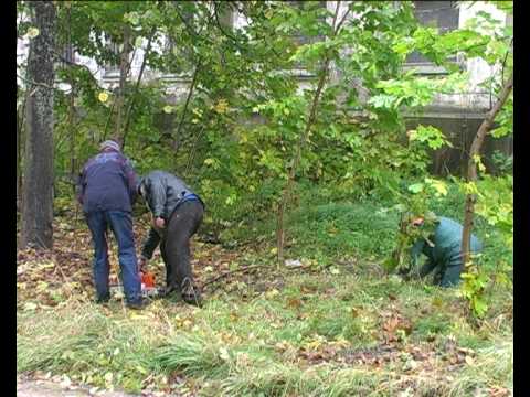 Video: Kāds ir maksimālais bezdarbnieka pabalsts CT?