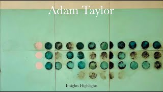 I Don't Need To Paint Figuratively | Adam Taylor | Insights Highlights