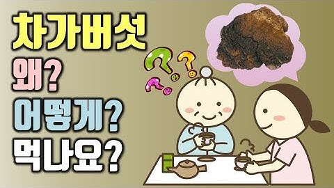 차가버섯효능 7가지와 먹는법, 부작용 알고 먹읍시다.