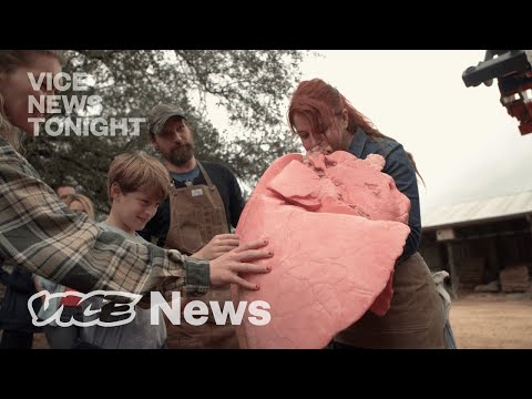 Video: RAZMIŠLJANJE NOVICE OPOZORILO - Mesna družba mesojedcev opozarja na surovo hrano zaradi salmonele