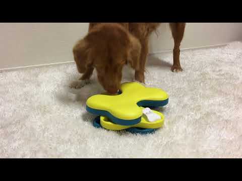 Nina Ottosson Dog Tornado Treat Puzzle Toy by Outward Hound 
