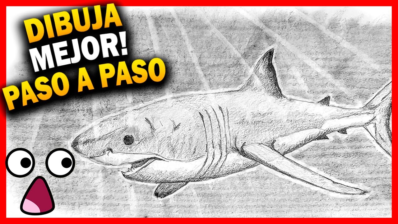 Como 🅳🅸🅱🆄🅹🅰🆁 UN TIBURON FACIL realista paso a paso 🦈【Dibujos a lápiz 】 *Dibujos de tiburones*