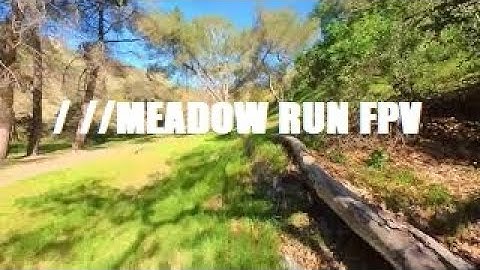 / //  MEADOW RUN FPV// NanoHawk x Caddx Peanut/ insta360 go2
