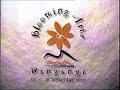 NZ TV Commercial - Wanganui Blooming Arts (1999)