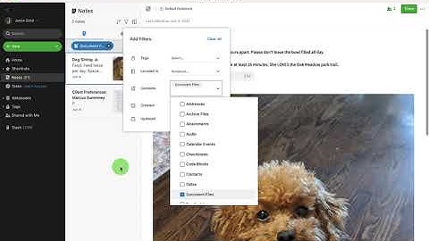 Filter Notes Part 1: Find notes with documents and files