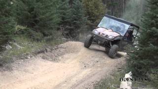 ODES 4 DOOR 5 PASSANGER DOMINATOR 800CC UTV RUV 4X4