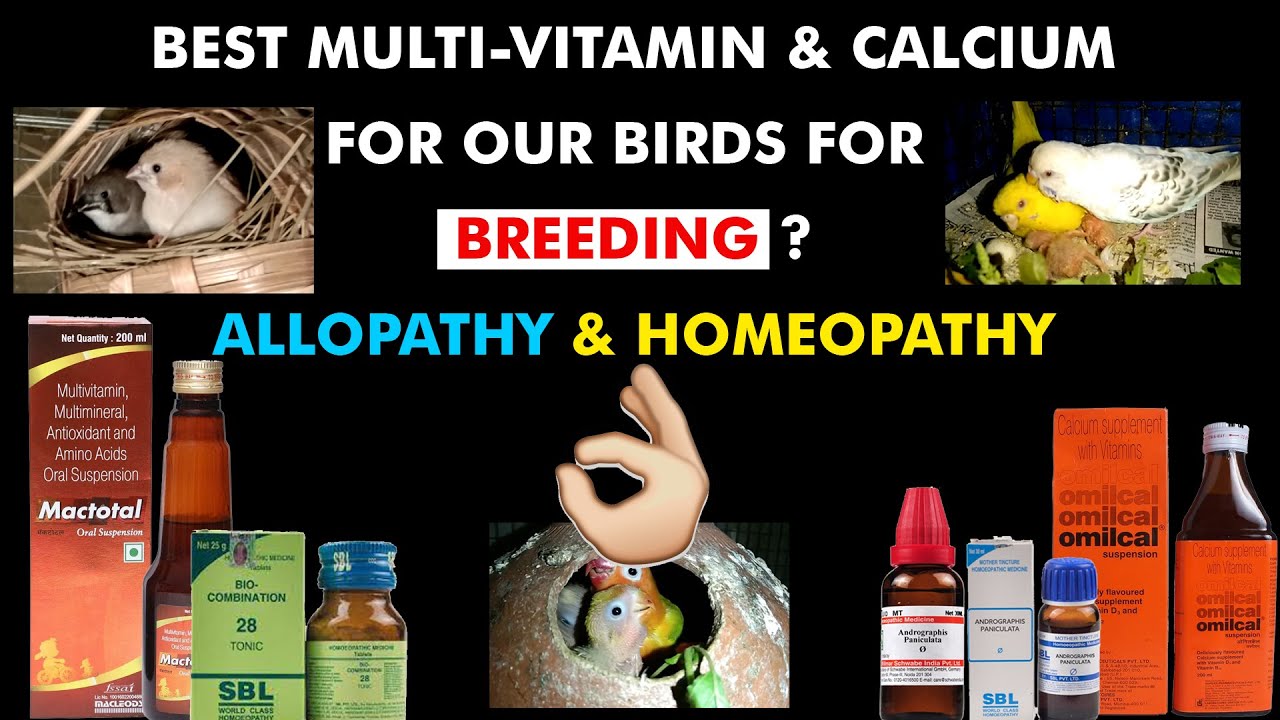 Which Multivitamin & Calcium Are Best For Our Birds Breeding ? Homeopathy & Allopathy ? YouTube