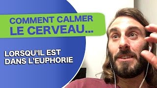 Comment CALMER LE CERVEAU lorsqu'il est DANS L'EUPHORIE ?