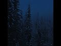 Daniel Mp3 Dark Snowy Night Slowed Reverb Daniel Mp3 Dark Snowy Night Slowed Reverb