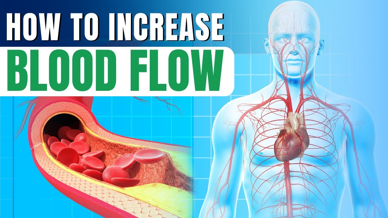 How to Increase Blood Flow to Legs and Feet Without Exercises 🩸 YouTube