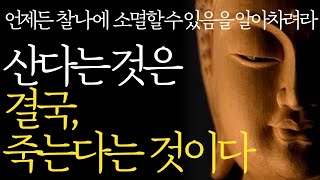 석가모니 명언 | 인생조언ㅣ수많은 죽음을 목격하면서 깨닫게 된 행복의 비밀 l 평온한 삶과 죽음을 받아들이는 방법 | 90세가 가까워지니 죽음의 불안이 찾아왔다 | 부처님말씀 지혜