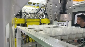 Sinoplast thermoforming machine produces disposable PP bowls