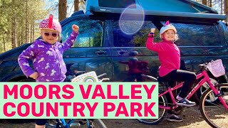 Half Term Fun in Dorset at Moors Valley Country Park and Studland Bay!