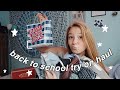 BACK TO SCHOOL CLOTHING *TRY ON HAUL* 2020