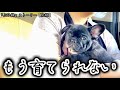 2ヶ月間、大切にしてたけど これ以上は育てられなくなりました。お別れです...。みんな幸せにね。