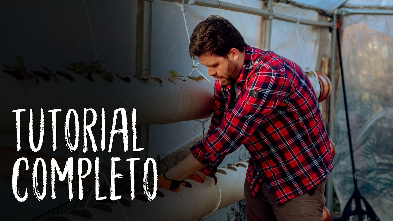 COLTIVARE FRAGOLE IN TUBO: ideale per piccoli spazi