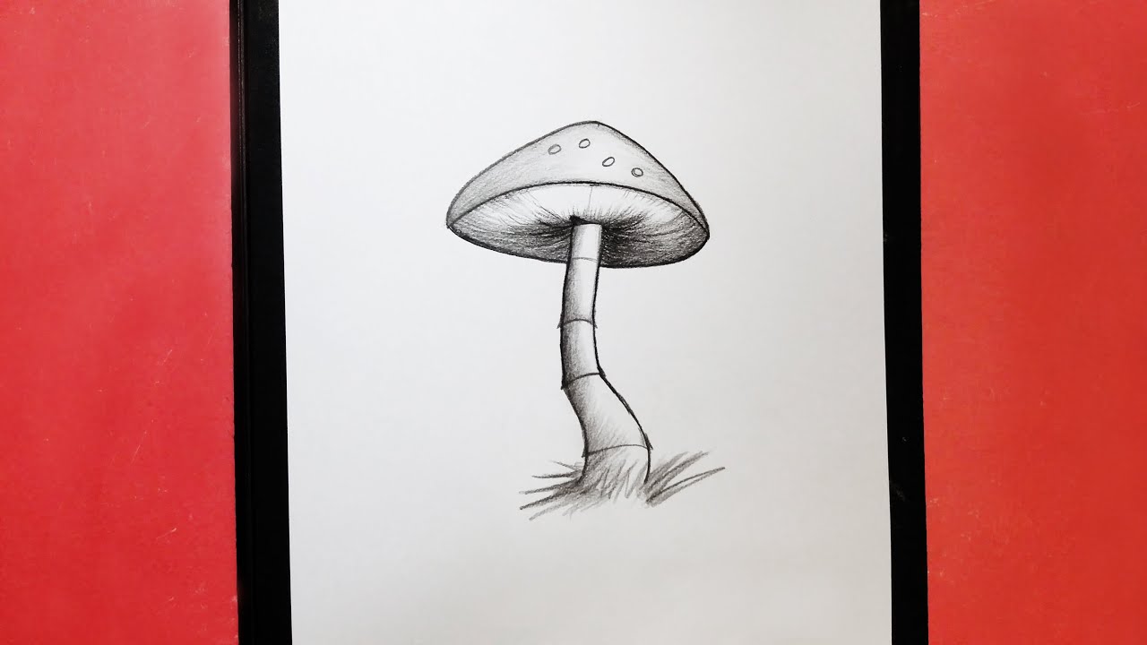 How To Draw A Mushroom Step By Step Easy Draw A Mushroom For how-to-draw-a-mushroom-step-by-step-easy-draw-a-mushroom-for
