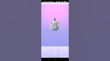 when you Evolve Mudkip of max 3 star stats #pokemongo