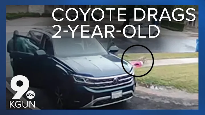 Dad saves two-year-old from coyote