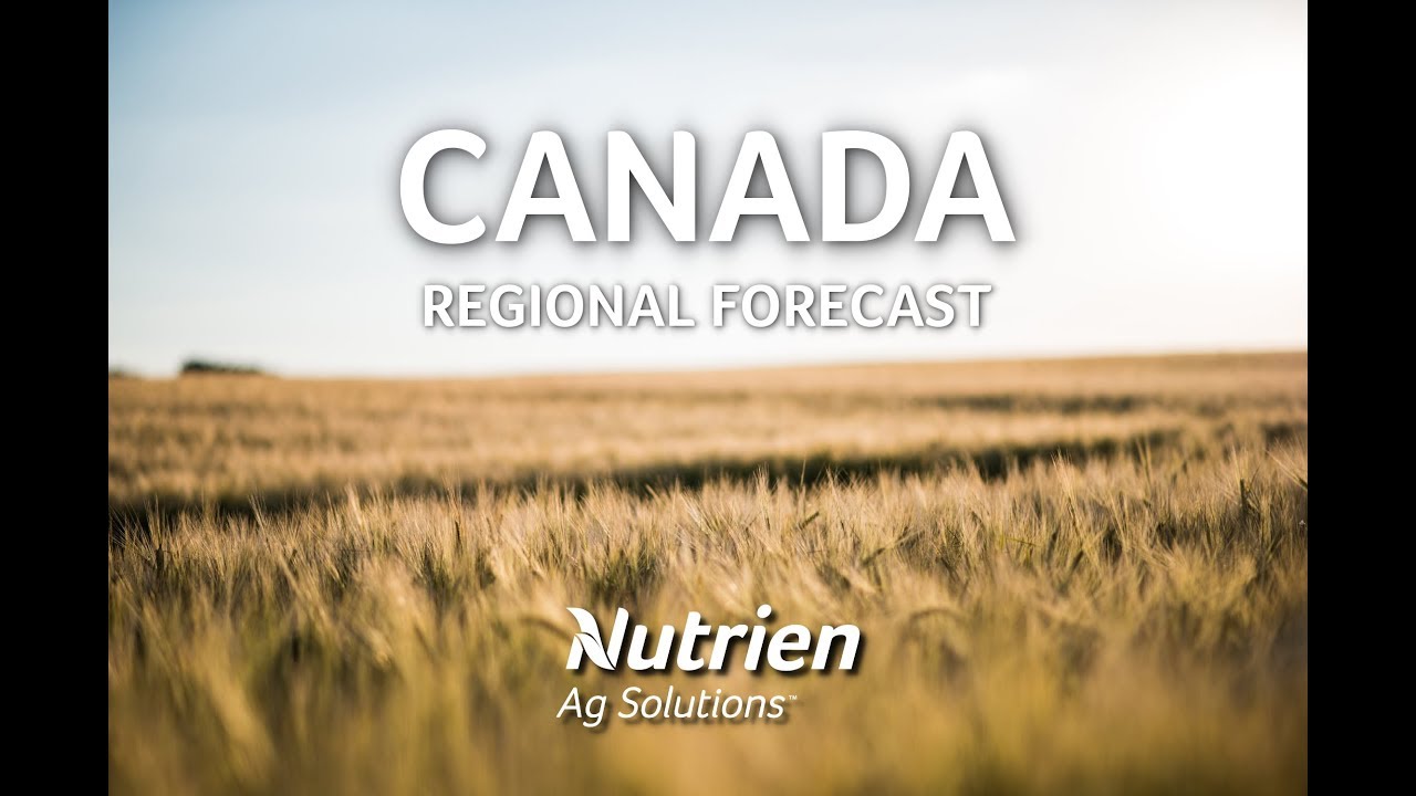 Canada Regional Ag Forecast - September 13 2019