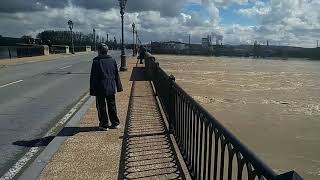 Inundación Tudela 13-4-2018 puente ebro
