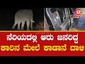 Neriya | Bayalu | Carina mele Kaadane daali | Wild Elephant attack on Car | U Plus TV