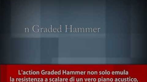 Graded hammer 3x keyboard action with escapement là gì