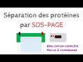 Sparation des protines par lectrophorse sdspage  biochimie facile