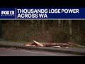 Gusty winds, heavy snow knock out power to thousands in western WA | FOX 13 Seattle