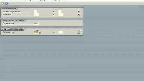 SAP-FI-Define Document Number Range.avi.flv