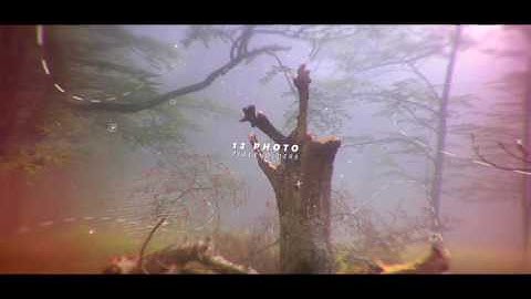 parallax frames After Effects Template