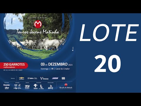 LOTE 20