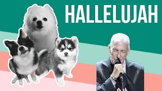 Hallelujah but it's Doggos and Gabe