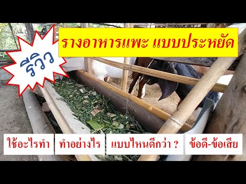 การทำรางอาหารแพะ แบบประหยัด