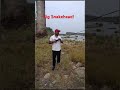 मरल का घातक हमला!😱😱😱 Snakehead Fishing