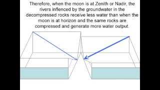 How orthotidal rivers work - Wavelet analysis of lunar semidiurnal tidal influence