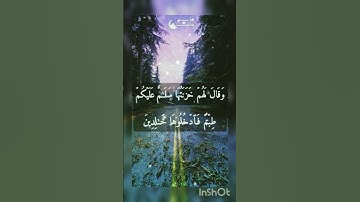 [سورة الزمر] للقارئ حسام الدين عبادي.[وَسِيقَ الَّذِينَ اتَّقَوُا رَبَّهُم إِلى الجَنّةِ زُمَرا]