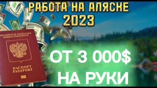 ⚠️Бесплатные Вакансии! РАБОТА ЗА ГРАНИЦЕЙ ДЛЯ РУССКИХ 2023 | РАБОТА В АМЕРИКЕ ДЛЯ РУССКИХ